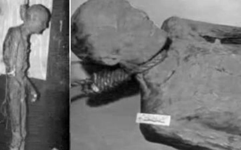 How the corpse of a bandit from the Wild West worked as a scarecrow in a modern amusement park How the corpse of a bandit from the Wild West worked as a scarecrow in a modern amusement park