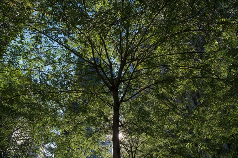 How to look like famous city in tilt-shift photographs How to look like famous city in tilt-shift photographs