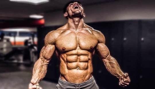 “Hulk Olympics”: a tournament will be held in the USA, the participants of which will be allowed to use any doping