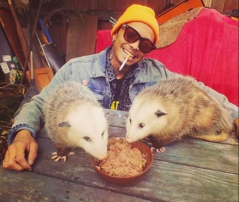 “Humanos haciendo cosas humanas”: 10 fotografías que muestran lo extraña que es nuestra especie