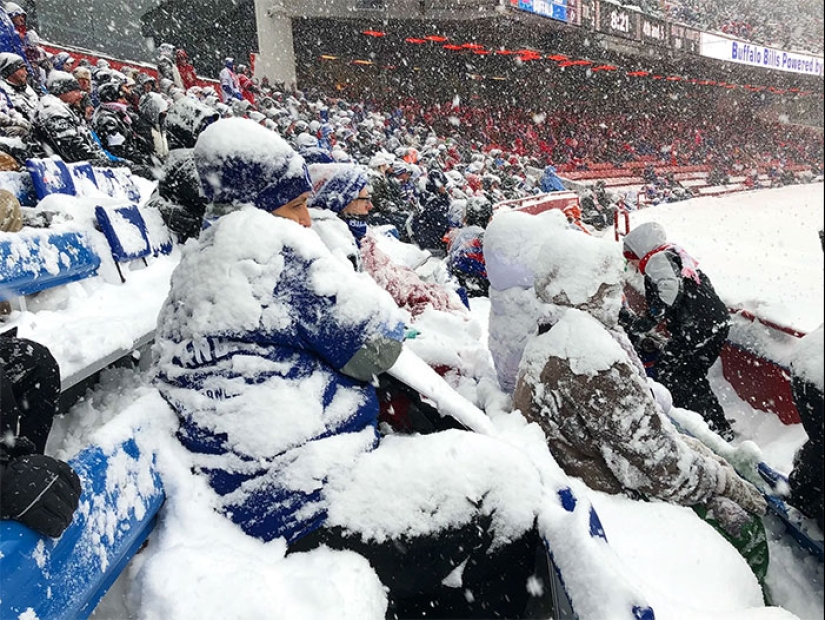 “Humans Doing Human Things”: 10 Photos That Show Just How Strange Our Species Is