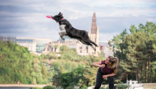 I Captured Dogs On The Run, And The Results Are The Most Adorable Faces Of Joy