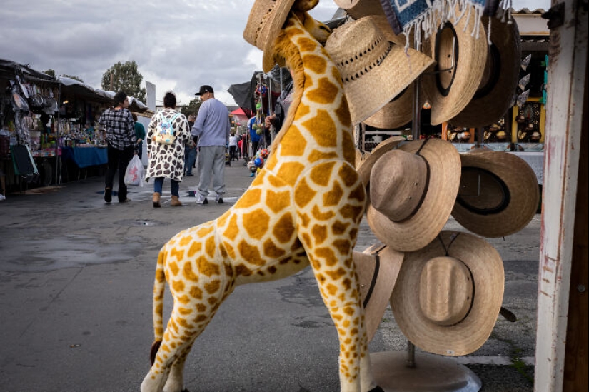 I Captured The Magic Of A Flea Market That’s Vanishing In The Name Of Progress I Captured The Magic Of A Flea Market That’s Vanishing In The Name Of Progress