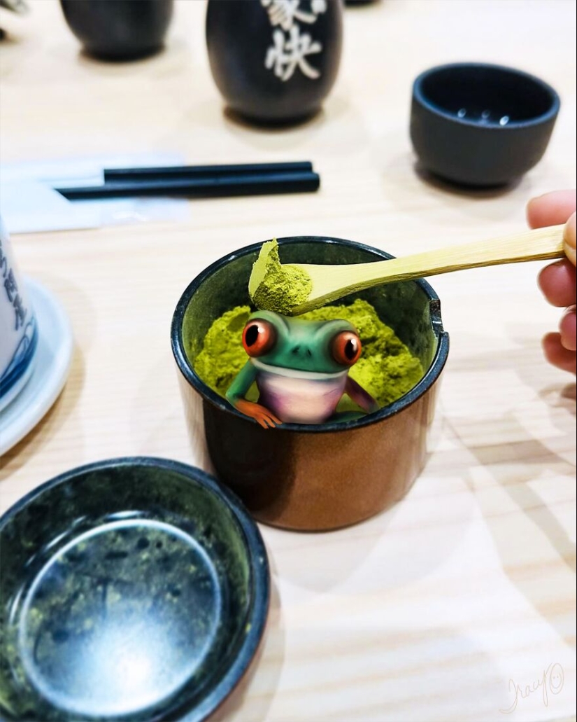 I Make Cute Art By Adding Drawn Animals To Random Photos I Make Cute Art By Adding Drawn Animals To Random Photos