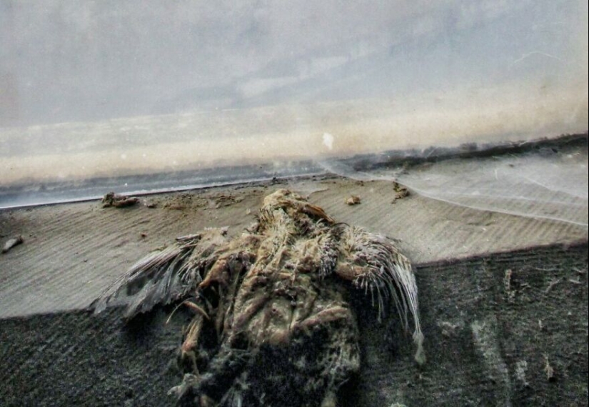 I Photographed An Abandoned Building From The The 15th-Century