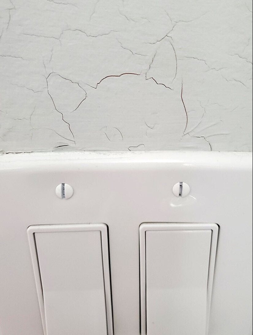 "I see faces": 20+ deceptive photos that you will have to look at twice "I see faces": 20+ deceptive photos that you will have to look at twice