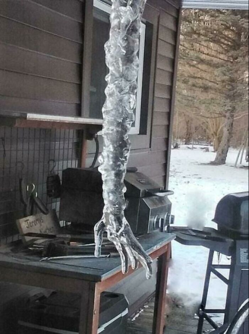 "I see faces": 20+ deceptive photos that you will have to look at twice "I see faces": 20+ deceptive photos that you will have to look at twice