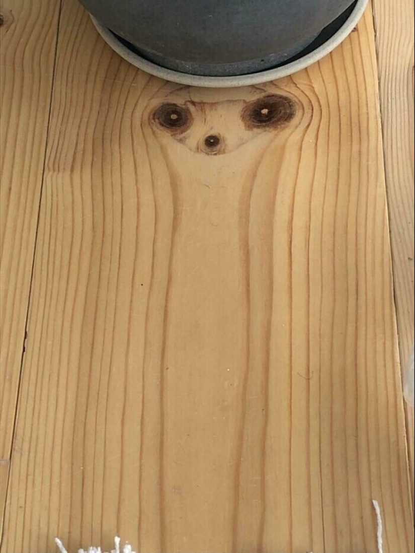 "I see faces": 20+ deceptive photos that you will have to look at twice "I see faces": 20+ deceptive photos that you will have to look at twice