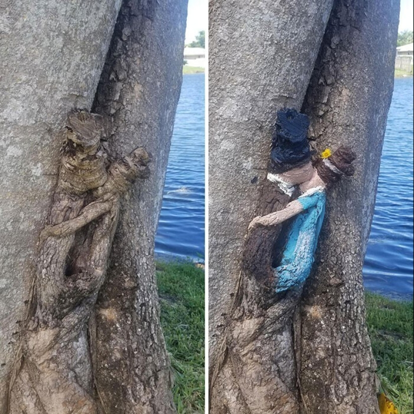 "I see faces": 20+ deceptive photos that you will have to look at twice "I see faces": 20+ deceptive photos that you will have to look at twice