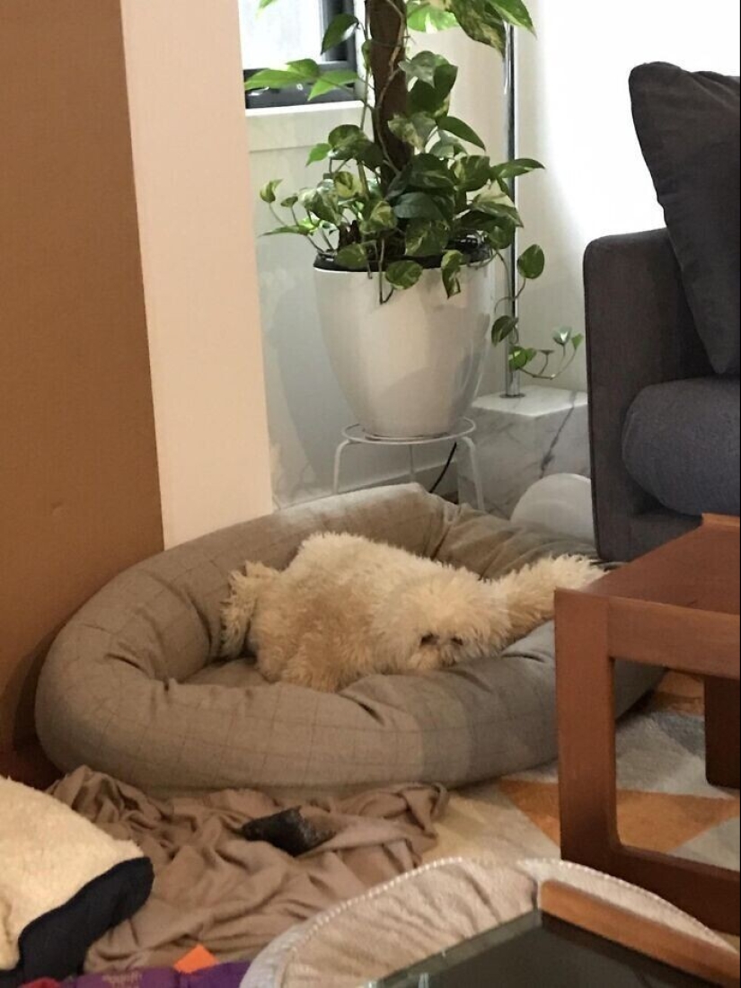 "I see faces": 20+ deceptive photos that you will have to look at twice "I see faces": 20+ deceptive photos that you will have to look at twice