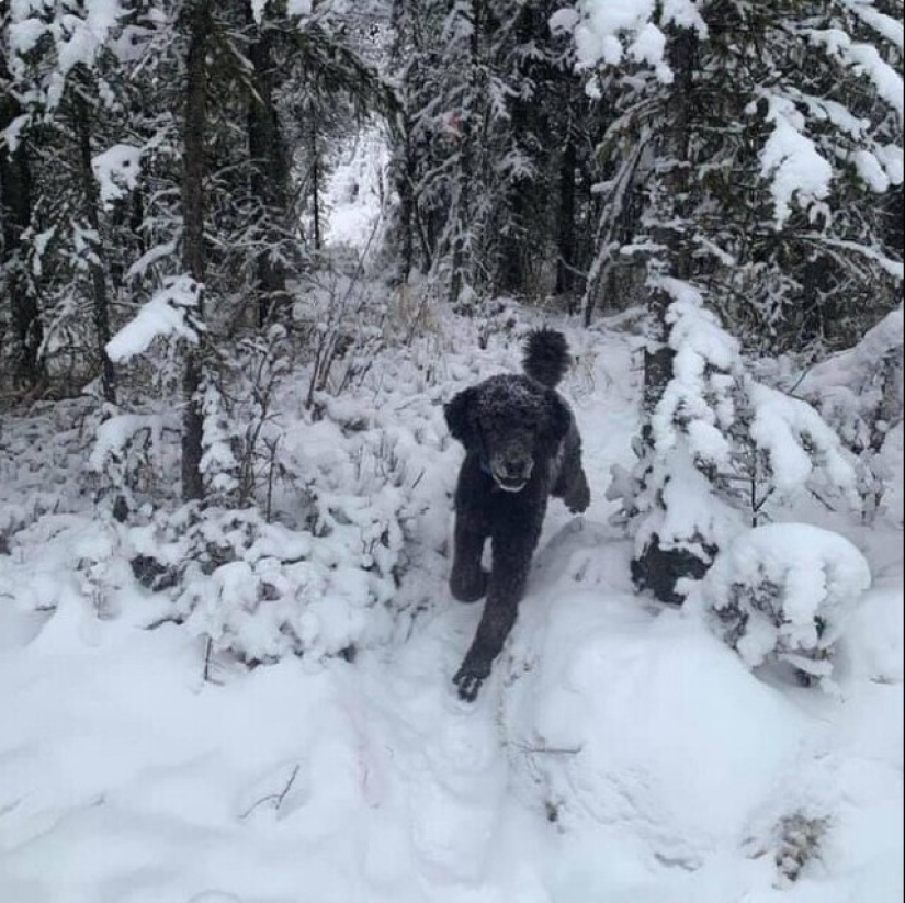 "I see faces": 20+ deceptive photos that you will have to look at twice "I see faces": 20+ deceptive photos that you will have to look at twice