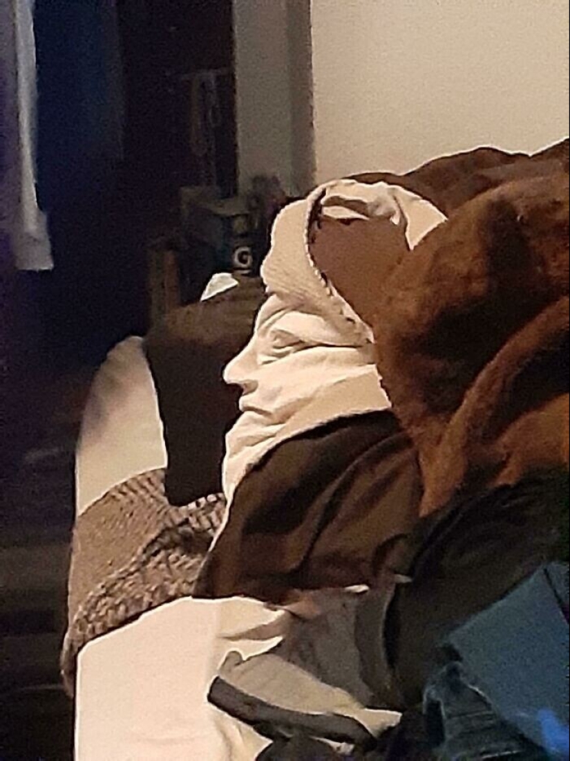 "I see faces": 20+ deceptive photos that you will have to look at twice "I see faces": 20+ deceptive photos that you will have to look at twice