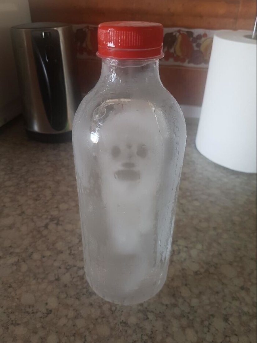 "I see faces": 20+ deceptive photos that you will have to look at twice "I see faces": 20+ deceptive photos that you will have to look at twice