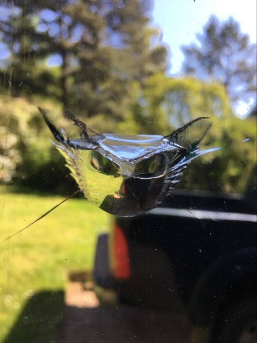 "I see faces": 20+ deceptive photos that you will have to look at twice "I see faces": 20+ deceptive photos that you will have to look at twice