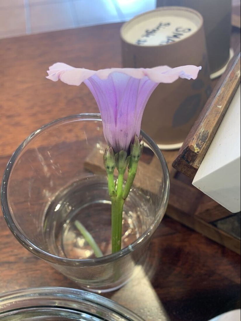 "I see faces": 20+ deceptive photos that you will have to look at twice "I see faces": 20+ deceptive photos that you will have to look at twice