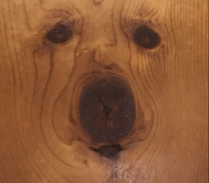 "I see faces": 20+ deceptive photos that you will have to look at twice "I see faces": 20+ deceptive photos that you will have to look at twice