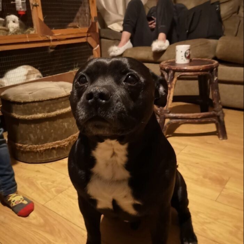 "I see faces": 20+ deceptive photos that you will have to look at twice "I see faces": 20+ deceptive photos that you will have to look at twice