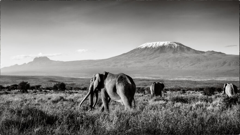 I Went To Kenya On A Safari, Here’s 21 Of The Best Photos I Went To Kenya On A Safari, Here’s 21 Of The Best Photos