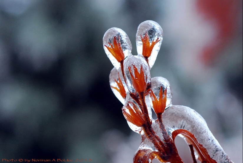 Ice inspiration — 23 photos of interesting ice formations Ice inspiration — 23 photos of interesting ice formations