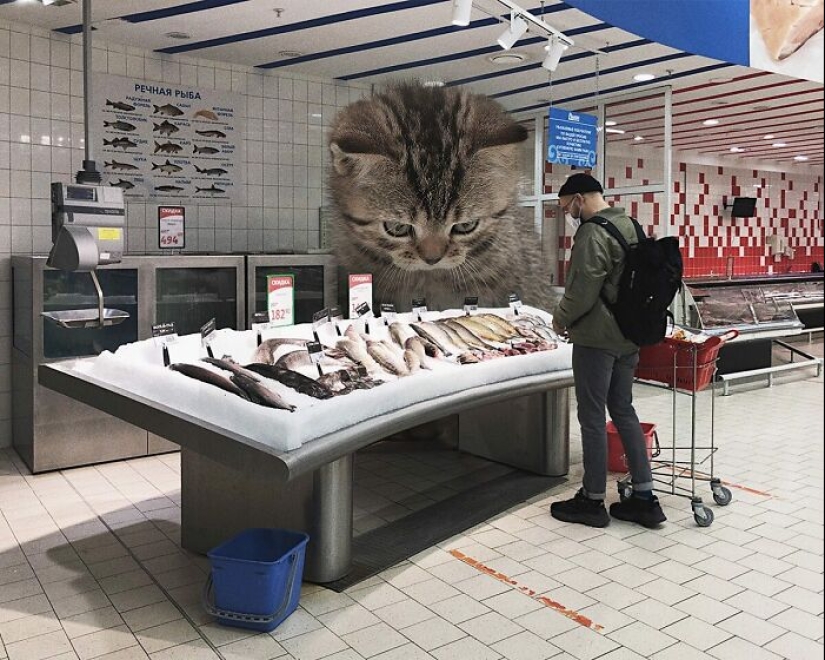 If Cats Were Giants: Artist Explores Surreal Concept By Creating Realistic-Looking Images