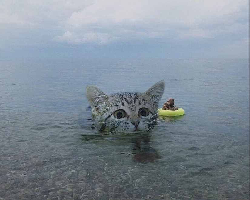 If Cats Were Giants: Artist Explores Surreal Concept By Creating Realistic-Looking Images