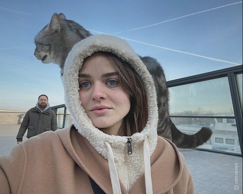 If Cats Were Giants: Artist Explores Surreal Concept By Creating Realistic-Looking Images