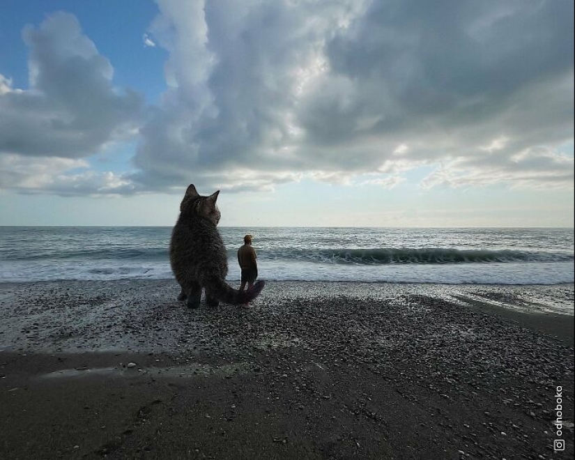 If Cats Were Giants: Artist Explores Surreal Concept By Creating Realistic-Looking Images
