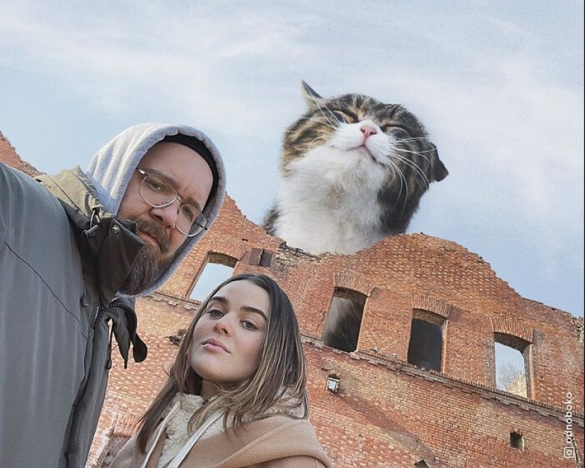 If Cats Were Giants: Artist Explores Surreal Concept By Creating Realistic-Looking Images