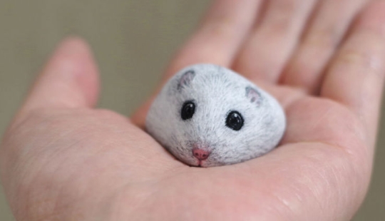 I'm not a cat, don't stroke me — the artist reveals the unique characters of the stones