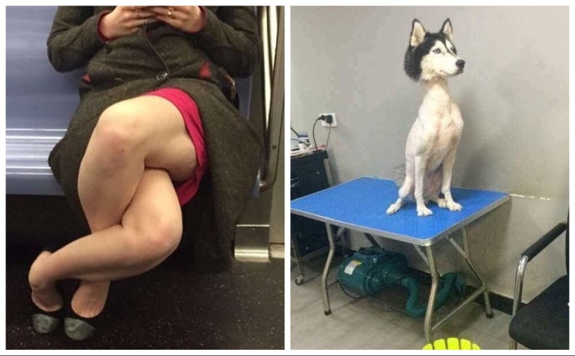 It hurt to look! 22 pictures, which may lead to nervous breakdown It hurt to look! 22 pictures, which may lead to nervous breakdown