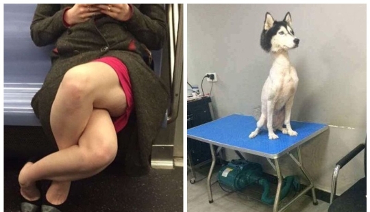 It hurt to look! 22 pictures, which may lead to nervous breakdown