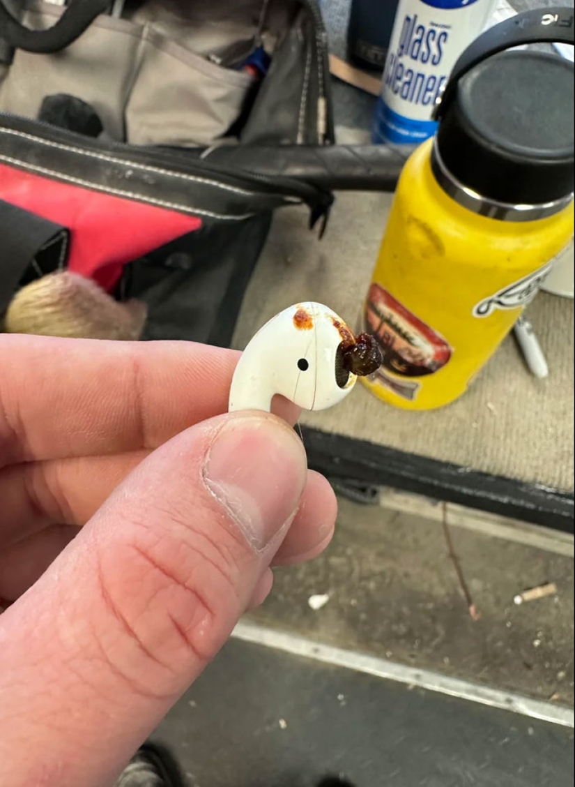 La gente comparte imágenes que hacen que otros “sufran”, y la situación empeora cuanto más las miras La gente comparte imágenes que hacen que otros “sufran”, y la situación empeora cuanto más las miras