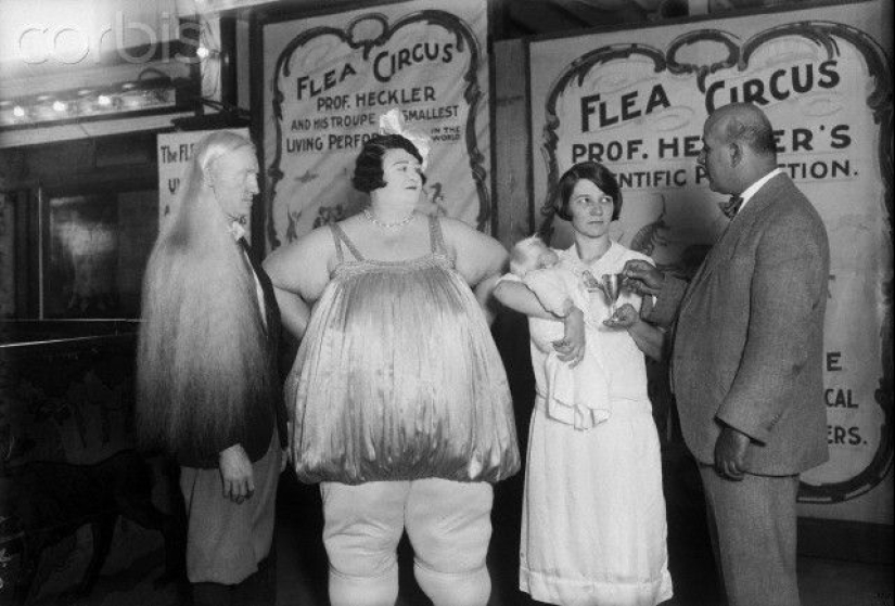 La historia de la tenaz artista de circo Dolly Dimples, que se hizo famosa por ganar peso primero y luego perderlo. La historia de la tenaz artista de circo Dolly Dimples, que se hizo famosa por ganar peso primero y luego perderlo.