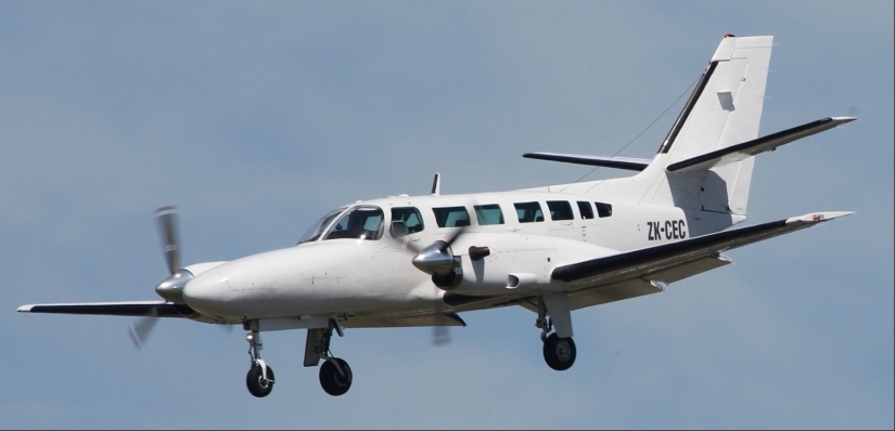 La increíble historia de la Cocaína Oso un oso que se comió 34 kilos de contrabando de cocaína La increíble historia de la Cocaína Oso un oso que se comió 34 kilos de contrabando de cocaína