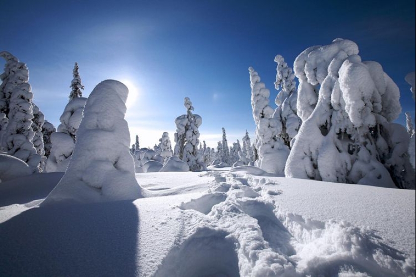 La loca historia de Finn Aimo Koivunen, que corrió 400 km bajo la influencia de una droga La loca historia de Finn Aimo Koivunen, que corrió 400 km bajo la influencia de una droga