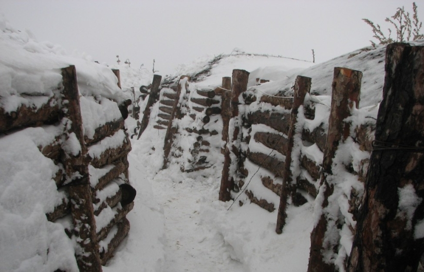 La loca historia de Finn Aimo Koivunen, que corrió 400 km bajo la influencia de una droga La loca historia de Finn Aimo Koivunen, que corrió 400 km bajo la influencia de una droga