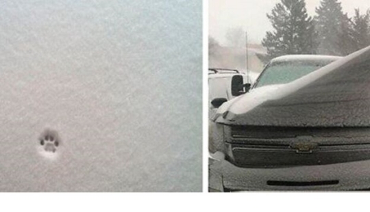 La nieve maravillas que va a ver una vez en tu vida