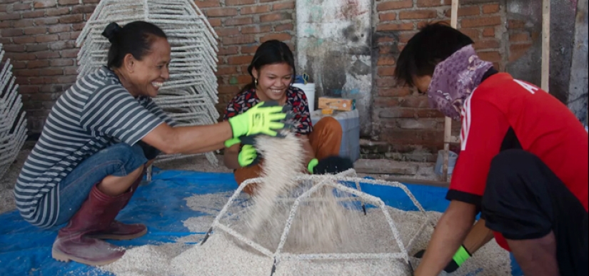 La recuperación total de un arrecife de coral sin vida en 4 años, según un estudio