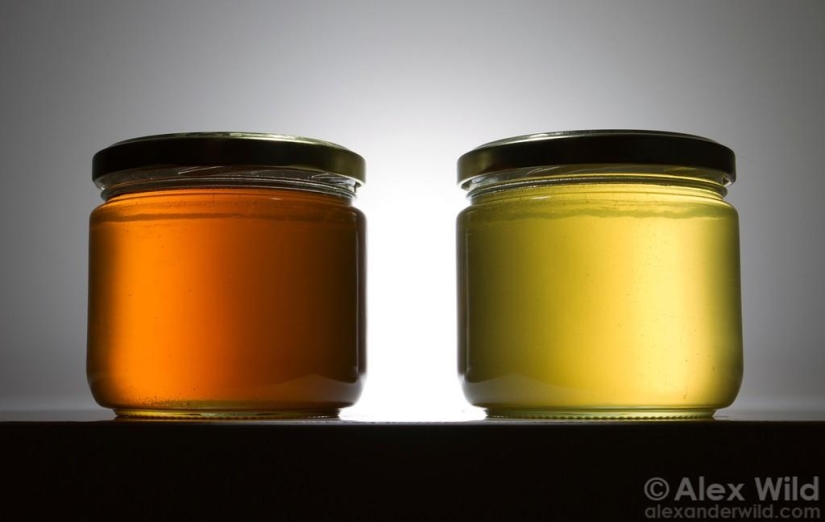 La Vida Secreta de las abejas La Vida Secreta de las abejas