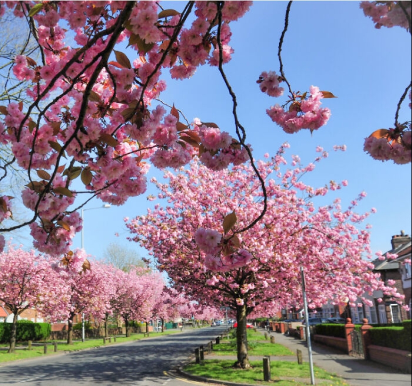 Las mejores fotos de la naturaleza