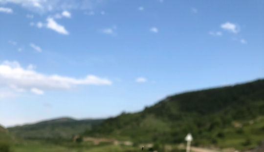 Las nanoestructuras a escala de mariposas son tan poderosas que no se desvanecen con los rayos ultravioleta del sol Las nanoestructuras a escala de mariposas son tan poderosas que no se desvanecen con los rayos ultravioleta del sol