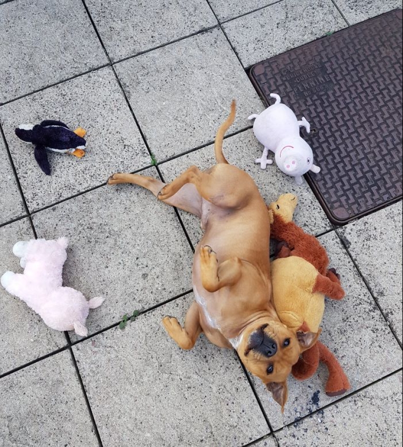 Lo que la gente moderna llevaría con ellos a la"vida después de la muerte" Lo que la gente moderna llevaría con ellos a la"vida después de la muerte"