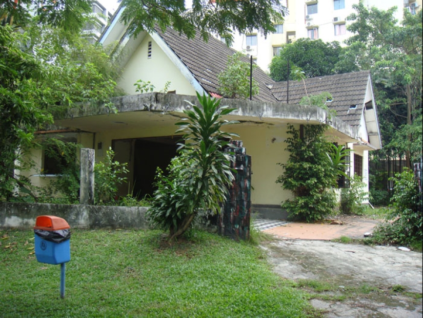 Lo que se llevó el tigre: por qué la estrella del pop y chamán Mona Fendi cortó la cabeza de un diputado Lo que se llevó el tigre: por qué la estrella del pop y chamán Mona Fendi cortó la cabeza de un diputado