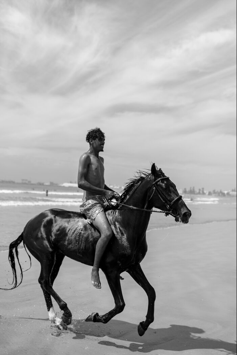“Looky Looky”: 12 fotos que tomé de cosas en la playa que me fascinaron