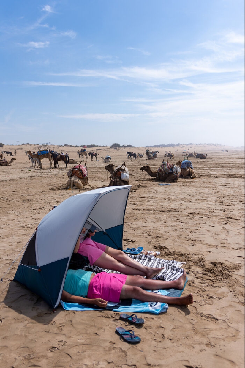 “Looky Looky”: 12 fotos que tomé de cosas en la playa que me fascinaron