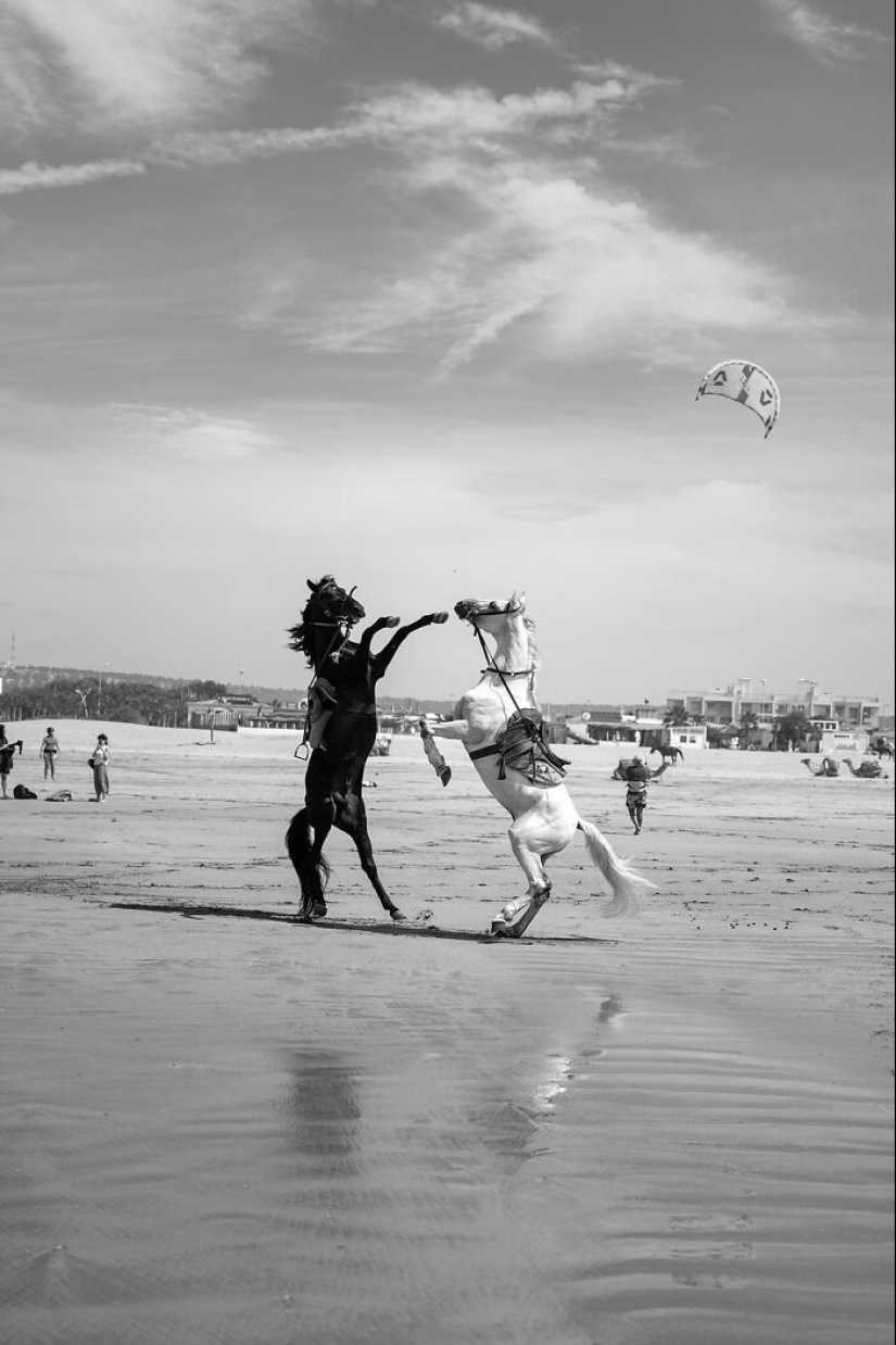 “Looky Looky”: 12 Photos I Took Of Things On The Beach That Fascinated Me