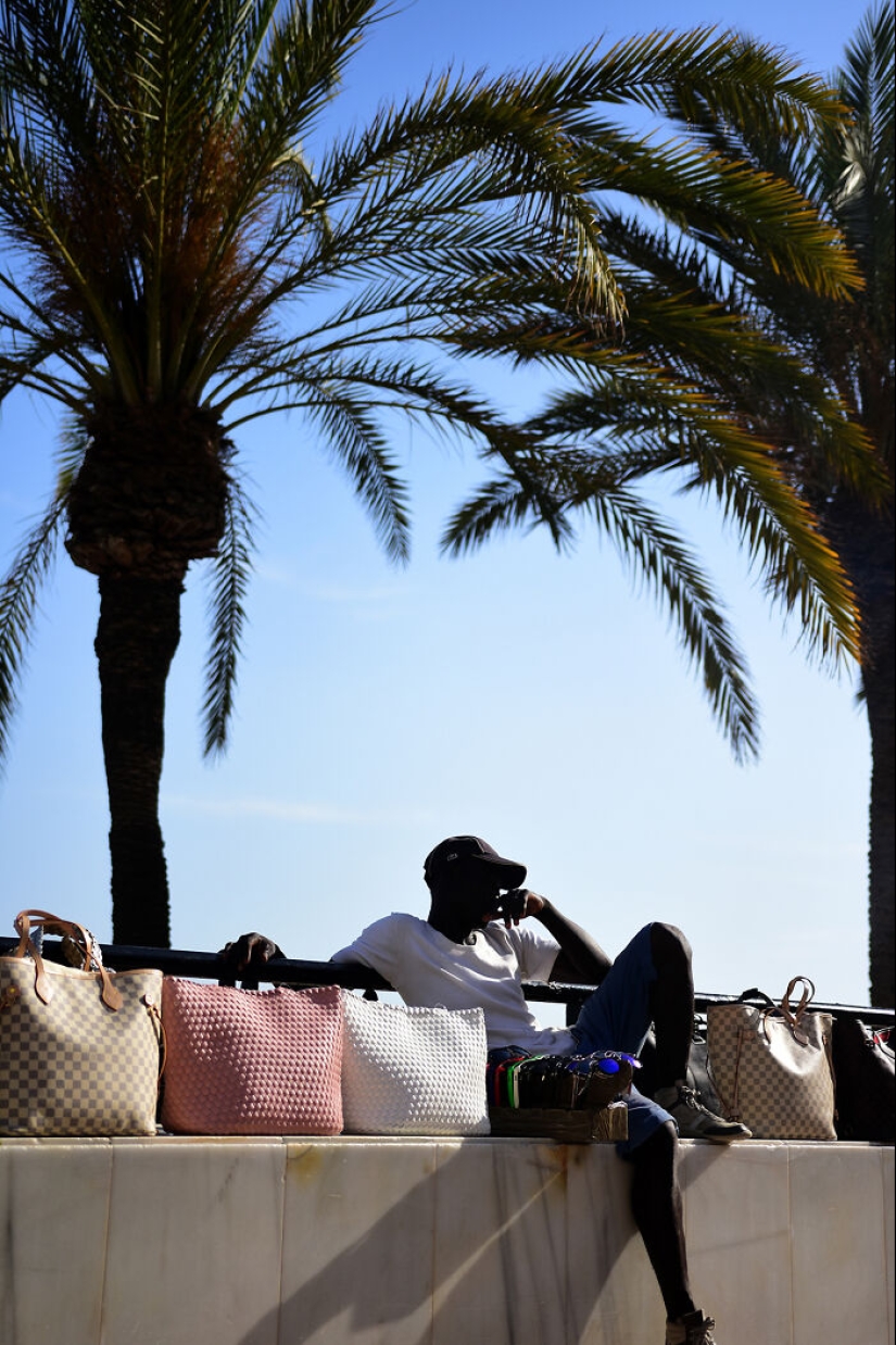 “Looky Looky”: 12 Photos I Took Of Things On The Beach That Fascinated Me