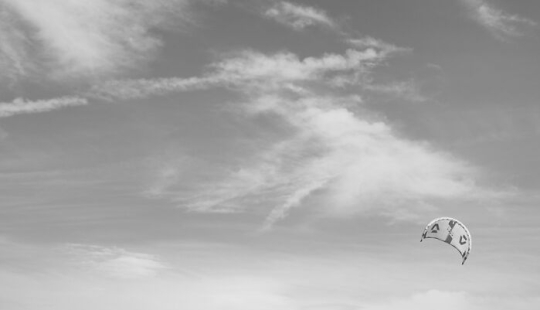 “Looky Looky”: 12 Photos I Took Of Things On The Beach That Fascinated Me “Looky Looky”: 12 Photos I Took Of Things On The Beach That Fascinated Me