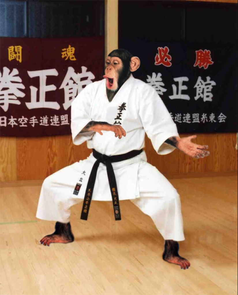 Los diseñadores tuvieron el desafío de vestir animales con ropa humana, así es como fue