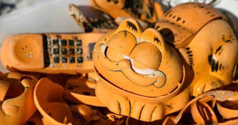 Los garfields de plástico se han lavado en las playas de Francia durante 30 años. ¡El misterio está finalmente resuelto! Los garfields de plástico se han lavado en las playas de Francia durante 30 años. ¡El misterio está finalmente resuelto!